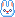 o_O bunny